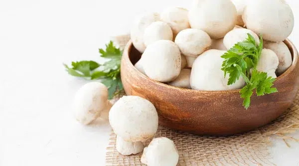 خرید قارچ دکمه ای + قیمت فروش استثنایی